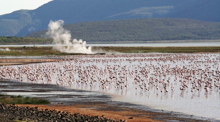 Kenya Rift Valley Lakes: Lake Bogoria