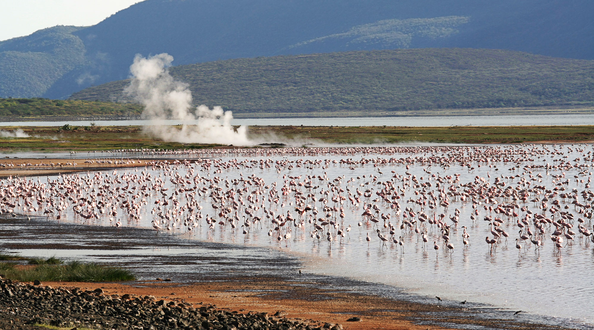 Kenya Rift Valley Lakes: Lake Bogoria