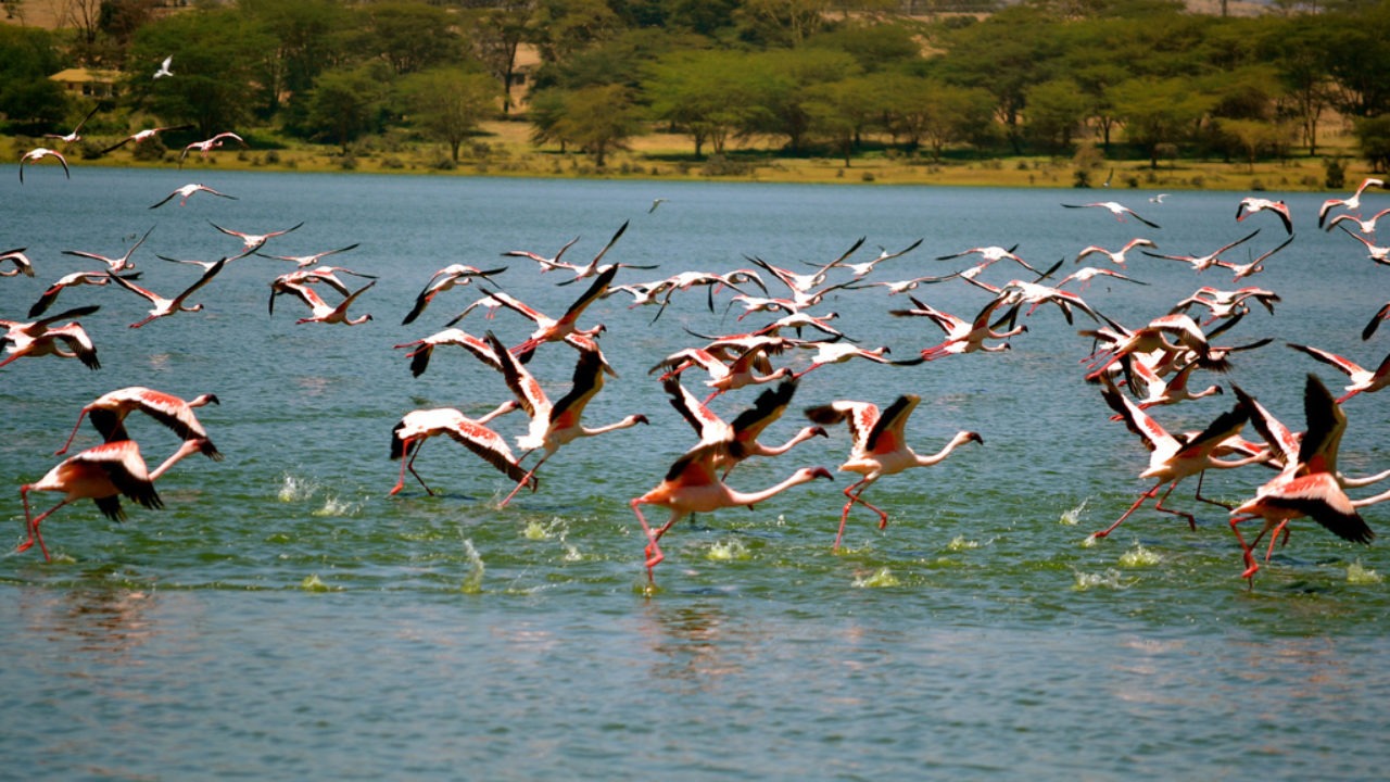 Lake Elementaita