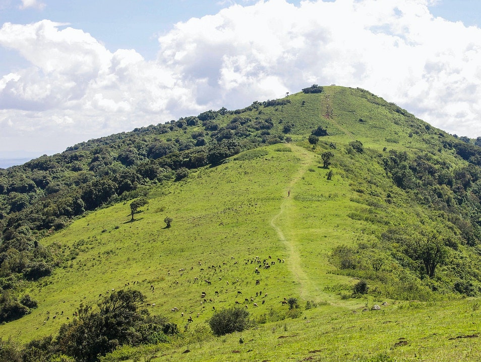 Ngong Hills