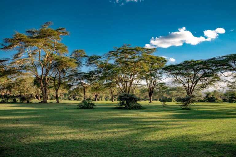 Naivasha hotels