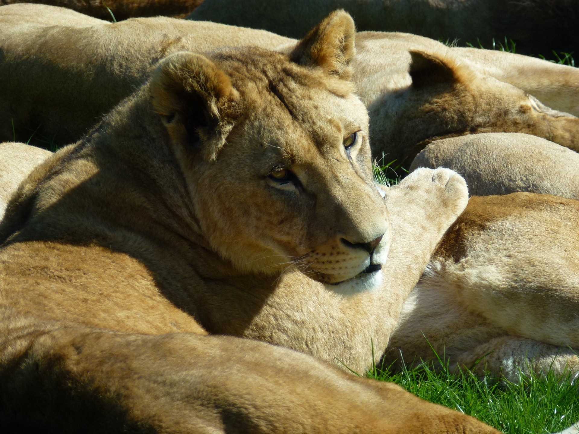 Hotels near Longleat